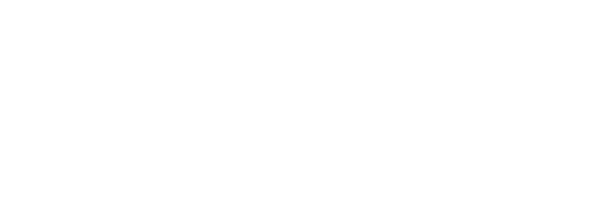 NATIVation Logos_All_Secondary mark all white