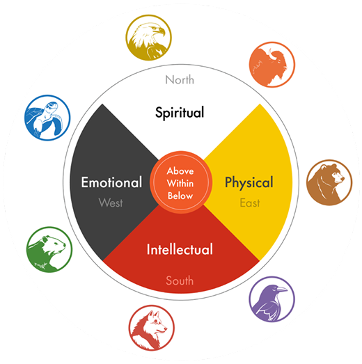 Medicine wheel showing img